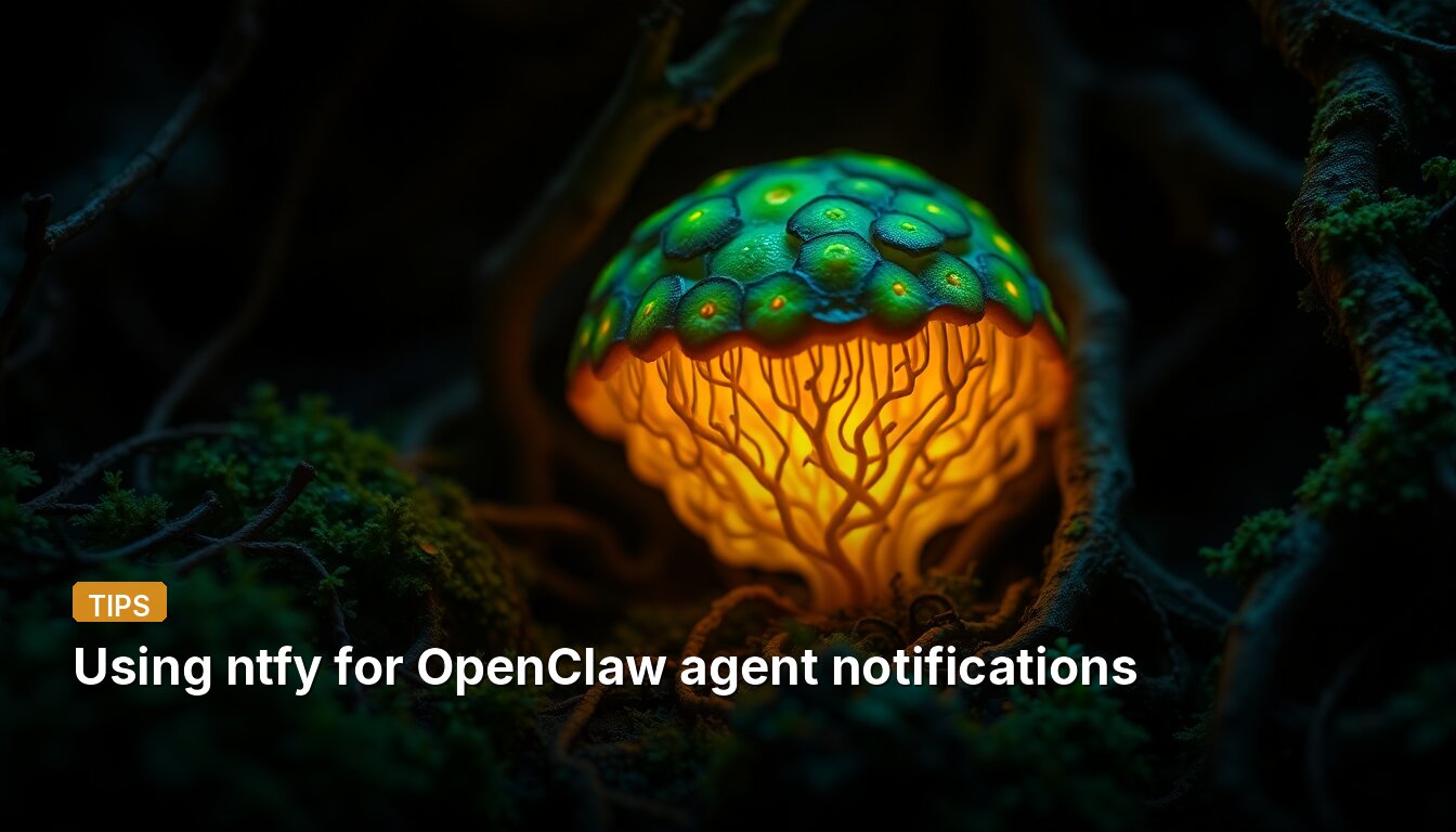 Using ntfy for OpenClaw agent notifications